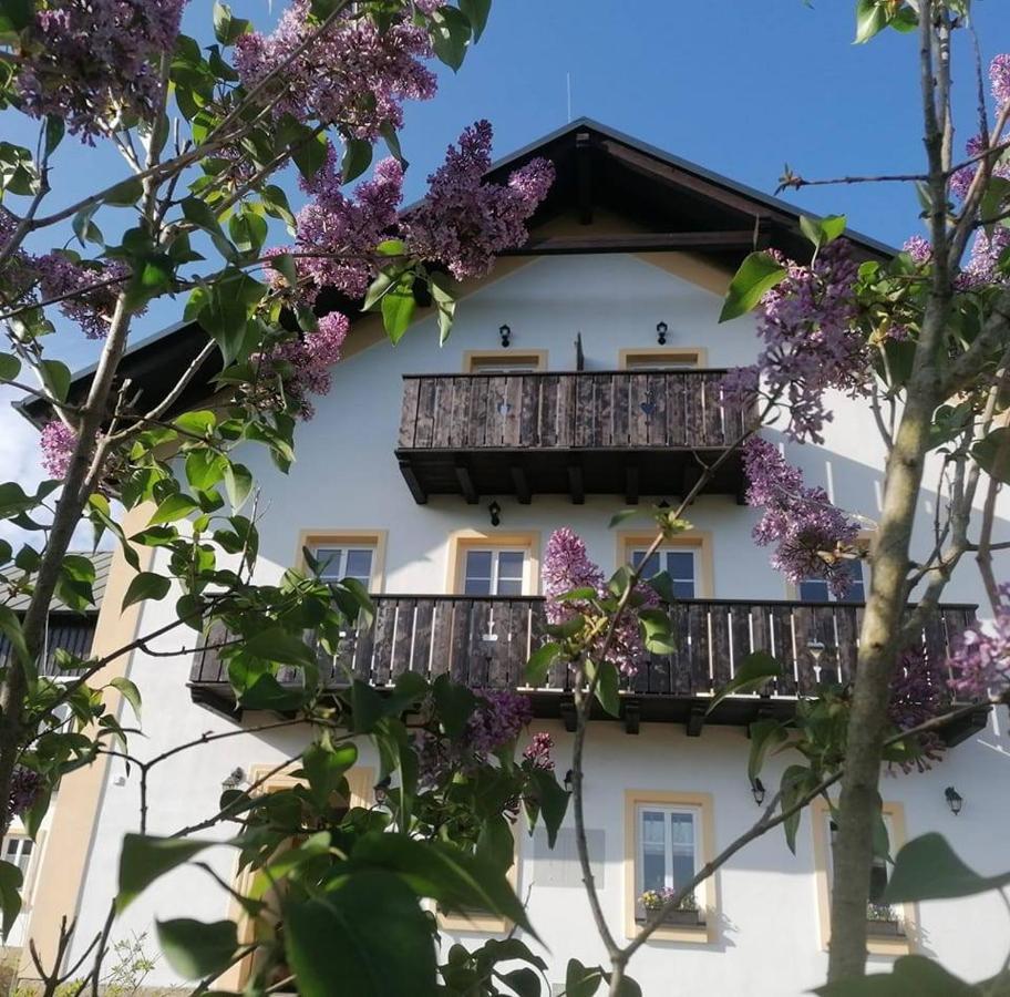 Penzion Henke Srbská Kamenice Exterior foto